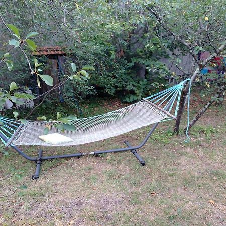 Appart Independant, 1 Lit Deux Personnes Et 1 Appoint Piscine Jardin Direct Gare Aeroport Et Jardin Τουλούζη Εξωτερικό φωτογραφία