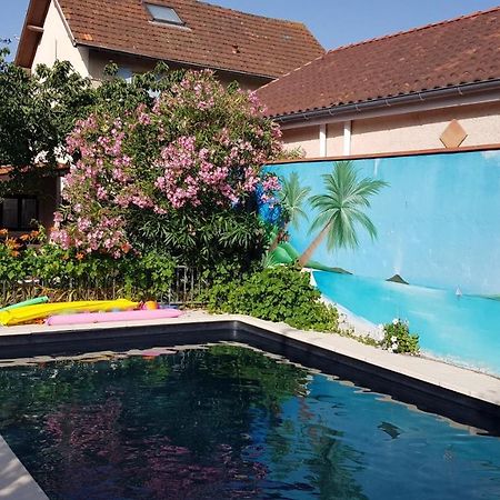 Appart Independant, 1 Lit Deux Personnes Et 1 Appoint Piscine Jardin Direct Gare Aeroport Et Jardin Τουλούζη Εξωτερικό φωτογραφία