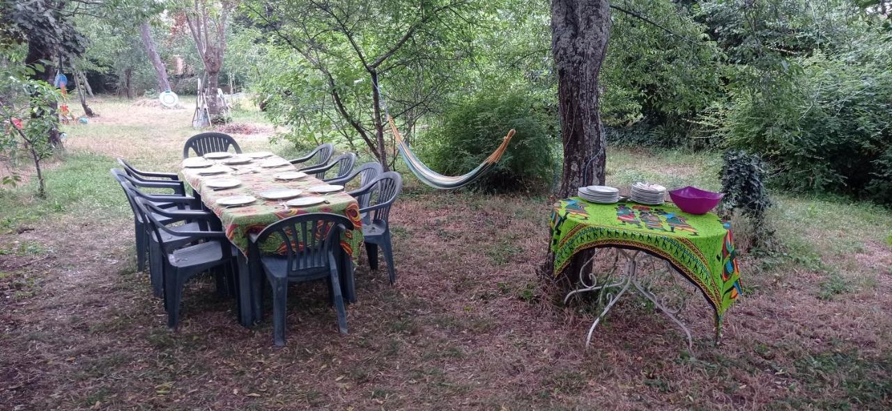 Appart Independant, 1 Lit Deux Personnes Et 1 Appoint Piscine Jardin Direct Gare Aeroport Et Jardin Τουλούζη Εξωτερικό φωτογραφία
