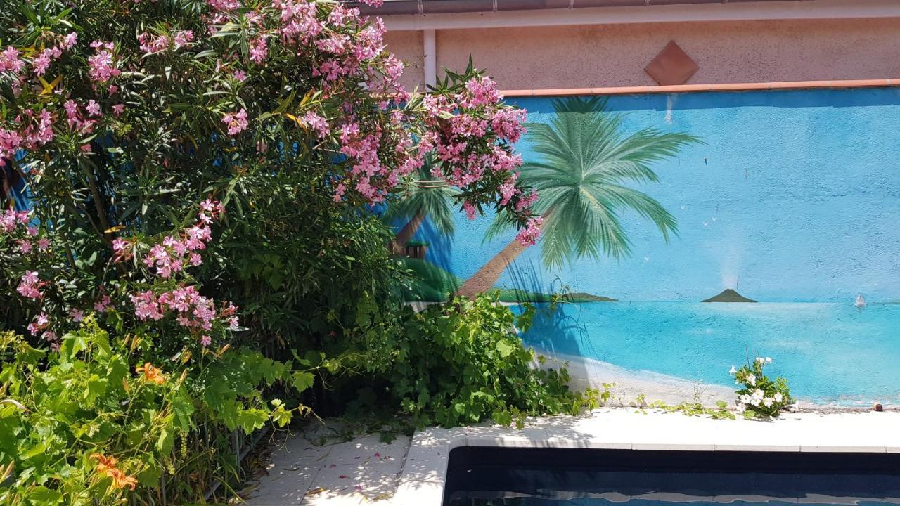 Appart Independant, 1 Lit Deux Personnes Et 1 Appoint Piscine Jardin Direct Gare Aeroport Et Jardin Τουλούζη Εξωτερικό φωτογραφία