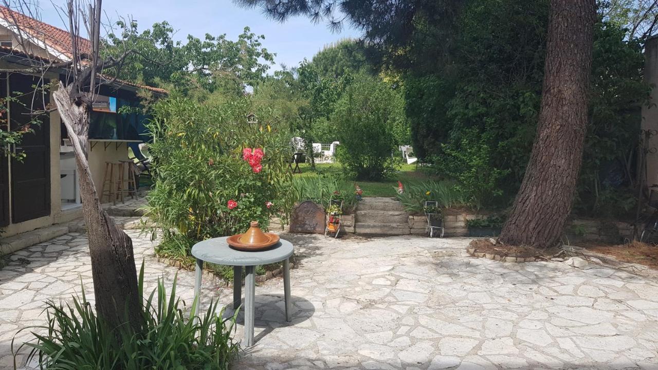 Appart Independant, 1 Lit Deux Personnes Et 1 Appoint Piscine Jardin Direct Gare Aeroport Et Jardin Τουλούζη Εξωτερικό φωτογραφία