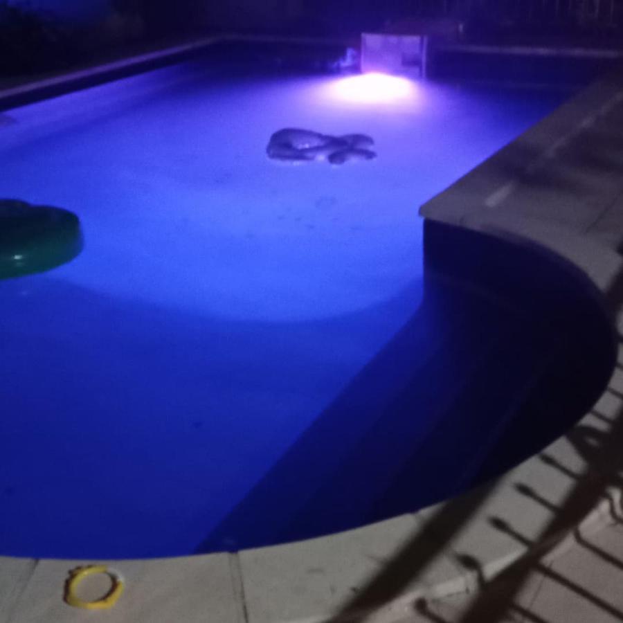 Appart Independant, 1 Lit Deux Personnes Et 1 Appoint Piscine Jardin Direct Gare Aeroport Et Jardin Τουλούζη Εξωτερικό φωτογραφία